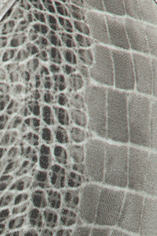 Fossil